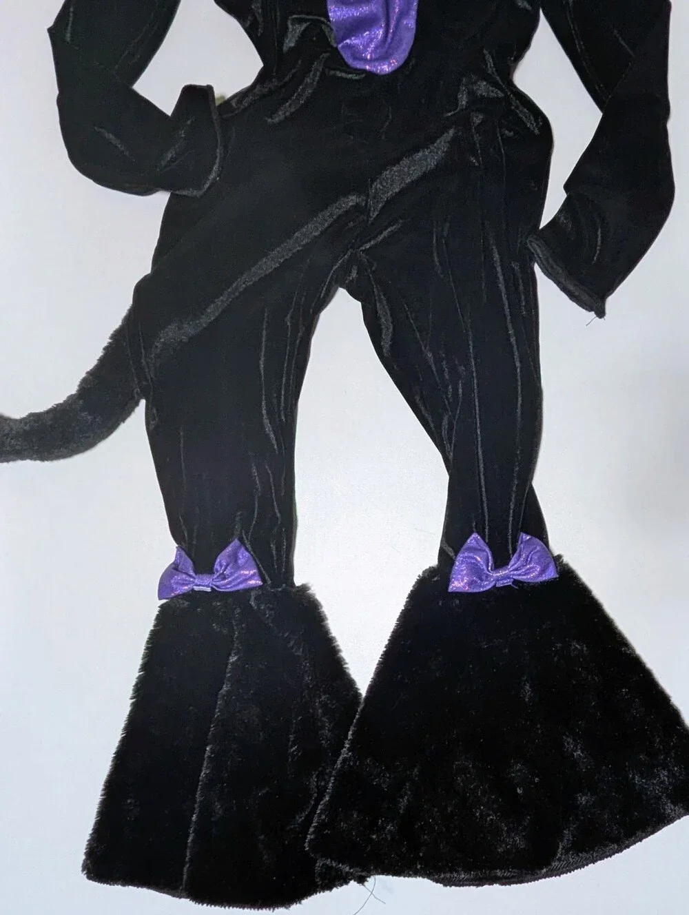 Spirit car costume